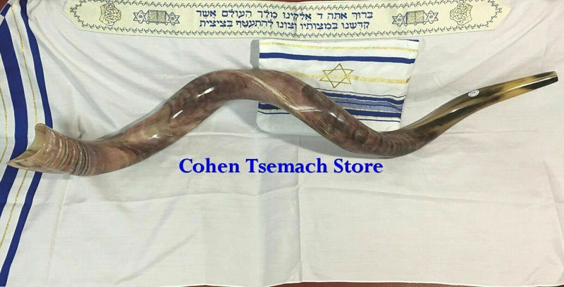 Kudu Yemenite HORN SHOFAR Kosher full Polished approx 49"