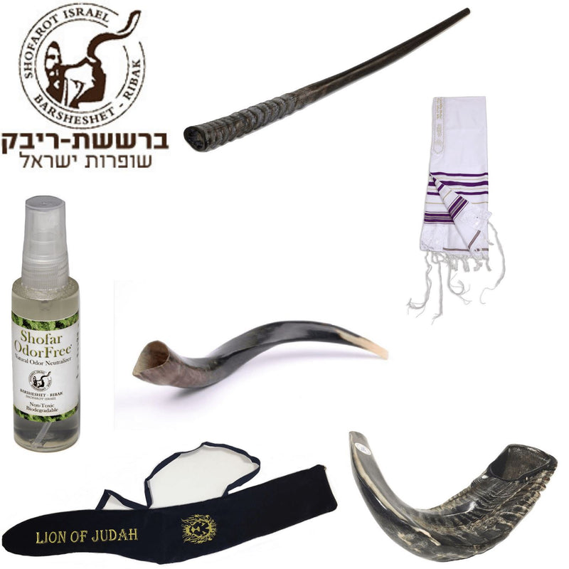 Amaizing Set Shofar Oryx ,Ram Horn,Kudu,Tallit purple Kosher ,Carrying Bag,Spray