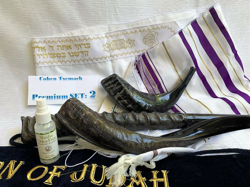 Amaizing Set Shofar Oryx ,Ram Horn,Kudu,Tallit purple Kosher ,Carrying Bag,Spray