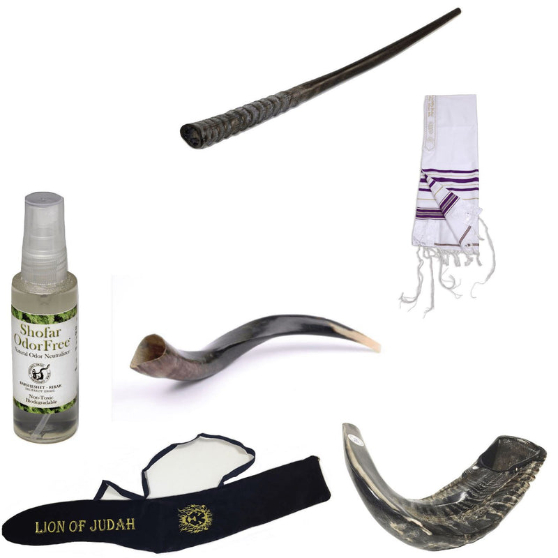 Amaizing Set Shofar Oryx ,Ram Horn,Kudu,Tallit purple Kosher ,Carrying Bag,Spray