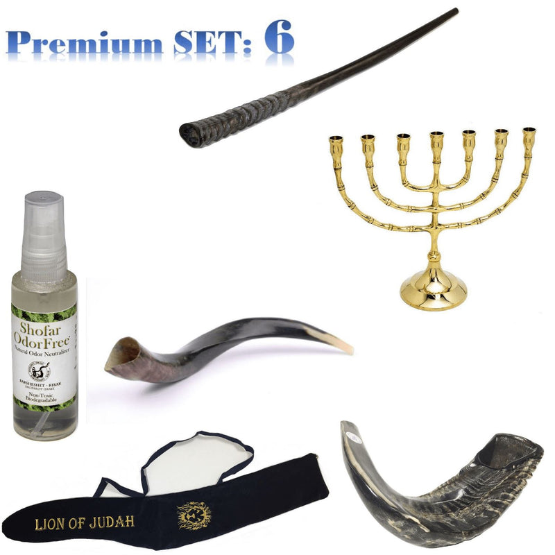 Amaizing Set Shofar ,Oryx ,Ram Horn,Kudu,Classic 8" Menorah ,Carrying Bag+Spray