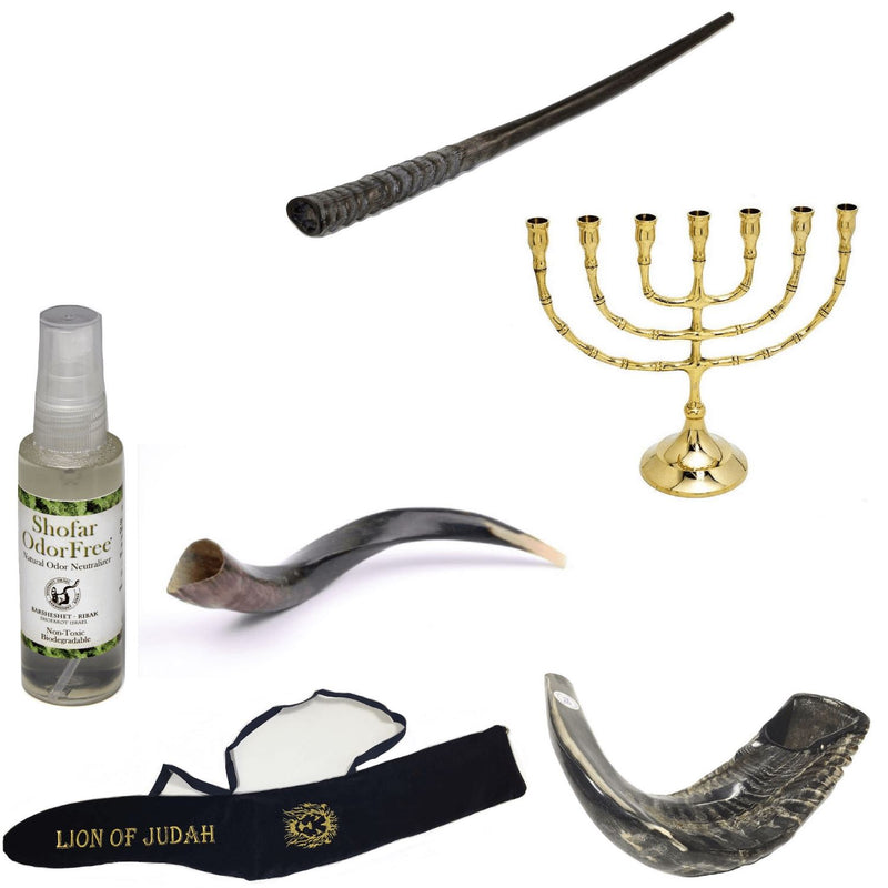 Amaizing Set Shofar ,Oryx ,Ram Horn,Kudu,Classic 8" Menorah ,Carrying Bag+Spray