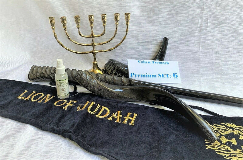 Amaizing Set Shofar ,Oryx ,Ram Horn,Kudu,Classic 8" Menorah ,Carrying Bag+Spray