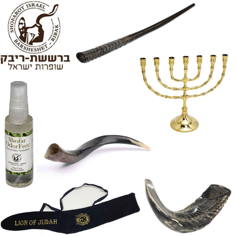 Amaizing Set Shofar ,Oryx ,Ram Horn,Kudu,Classic 8" Menorah ,Carrying Bag+Spray