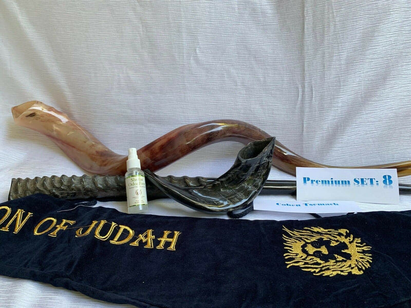 Amaizing Set Shofar,Big Oryx,Ram Horn,Kudu 40"-42",Shofar Bag+Anti-odor Spray