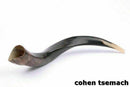 Kudu Yemenite HORN SHOFAR Kosher full Polished approx 26"-27" judaica israel