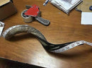 Kudu (Yemenite) Horn Shofar 24''-27'' New & KOSHER Made in  Israel