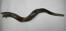 Kudu (Yemenite) Horn Shofar 24''-27'' New & KOSHER Made in  Israel