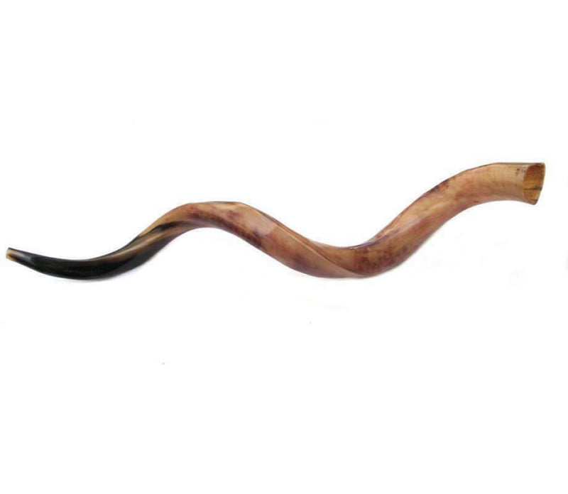 Sale For Yemenite shofar kudu horn Chofar 49" (125CM) Half Natural VERY RARE!!