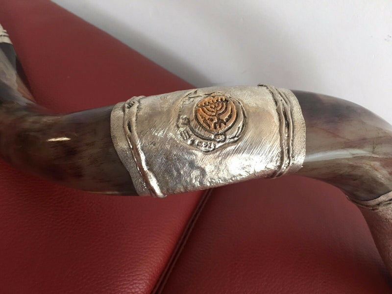 Sale 29" sterling silver plated  yemenite kudu horn shofar Lion of judah