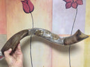 Sale 29" sterling silver plated  yemenite kudu horn shofar Lion of judah