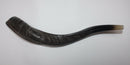 Half polished natural Judaica Kosher 60-70 cm Yeninite Kudu Shofar horn Israel