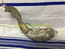 Amaizing silver ram shofar 16"-17" Messianic Lion of Judah Anointing oil Rare