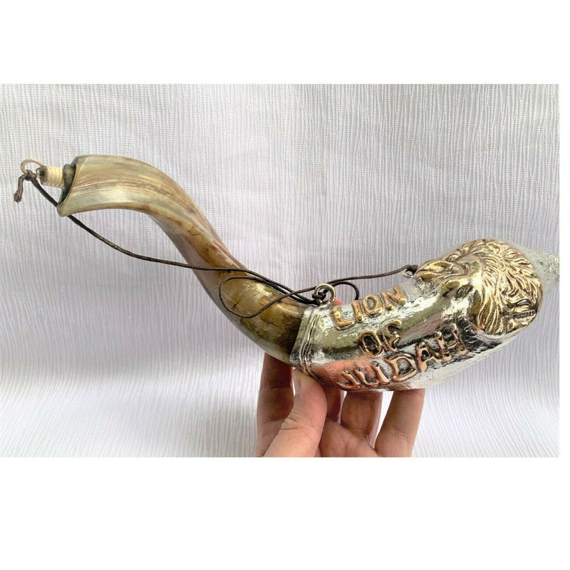 Amaizing silver ram shofar 16"-17" Messianic Lion of Judah Anointing oil Rare