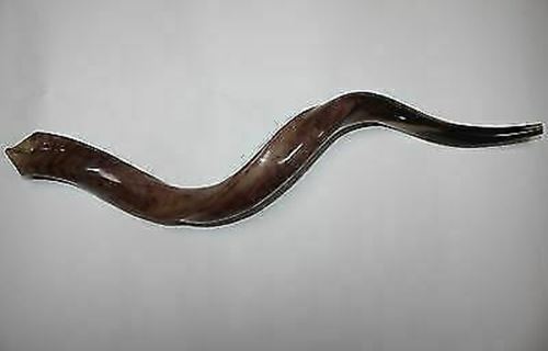 Kudu Yemenite HORN SHOFAR Kosher full Polished approx32"-34" judaica israel