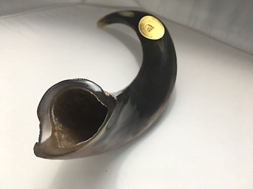 Full Polished Kosher Shofar horn Yeninite 50-60 cm Kudu Judaica from Israel gift