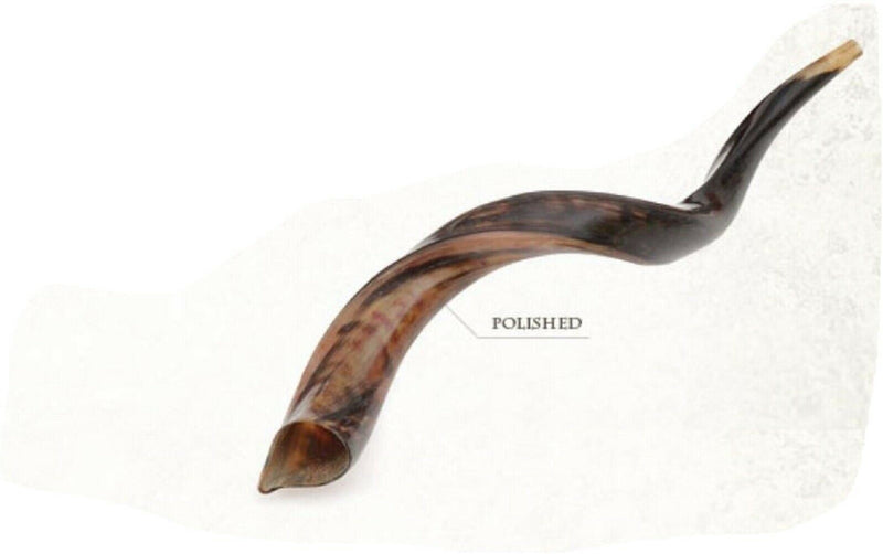 Yemenite Kudu Horn Shofar 20''-22'' New KOSHER Made in ISRAEL