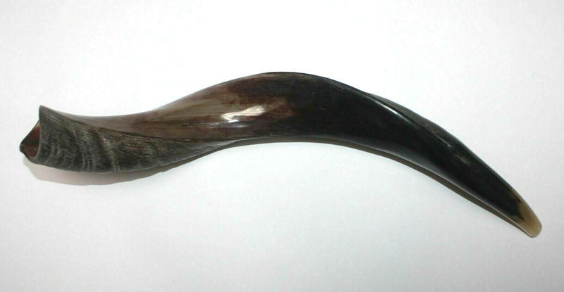 Yemenite Kudu Horn Shofar 20''-22'' New KOSHER Made in ISRAEL