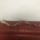 Kudu Yemenite HORN SHOFAR Kosher full Polished approx 49" judaica israel