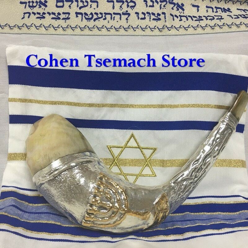 Silver Plated Rams Horn Shofar with Menorah Knesset +Free Stand