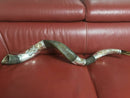 Amazing Silver - plated 44"- 45" Yemenite Horn Shofar Kudu Lion