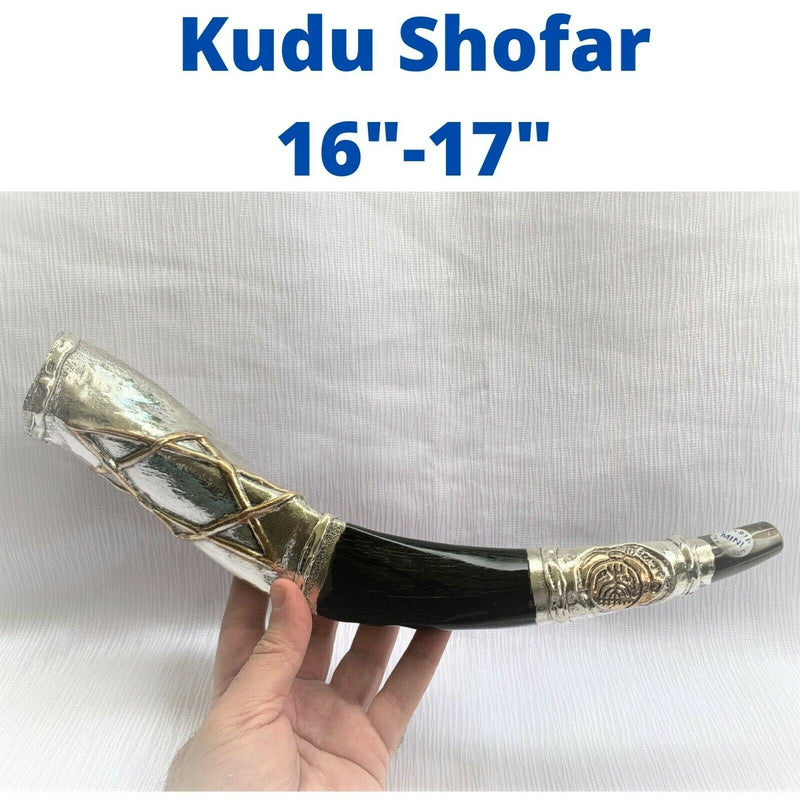 very rare shofar kudu silver Special star of david judaica 16"-17" + free stand