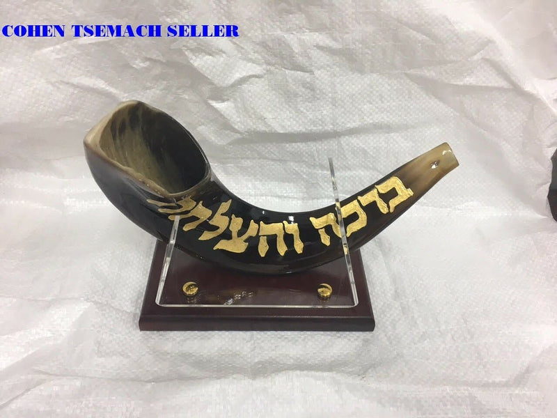 shofar 15"-17" ram horn shofar hand painted Chabad- rabbi Lubavitch+ stand