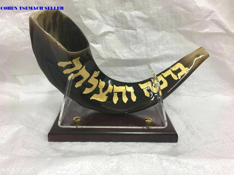 shofar 15"-17" ram horn shofar hand painted Chabad- rabbi Lubavitch+ stand