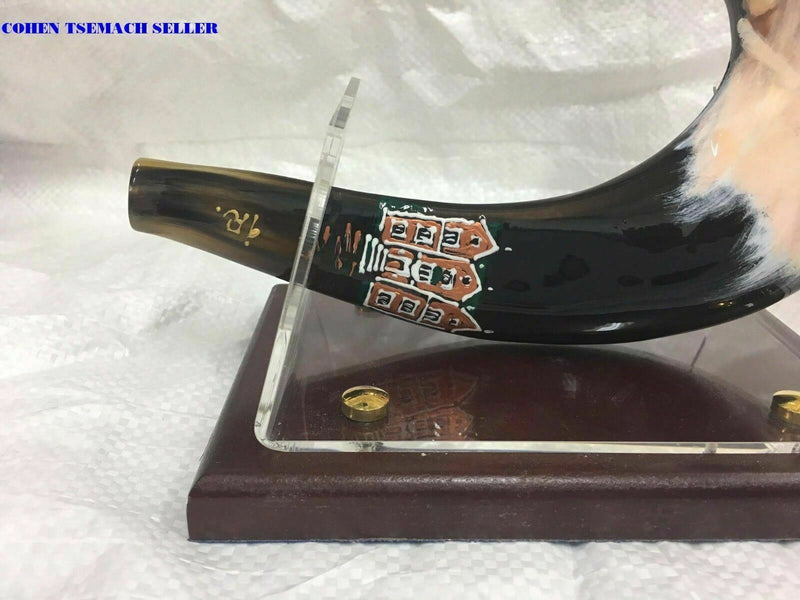 shofar 15"-17" ram horn shofar hand painted Chabad- rabbi Lubavitch+ stand