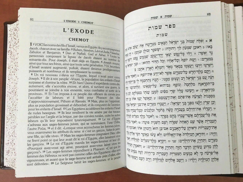 torah hebreu - french français pentateuque la bible hébraique, chumash