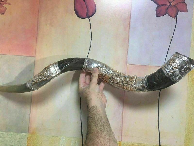 shofar kudu amazing silver - plated 34"-36" yemenite horn ark of the covenant