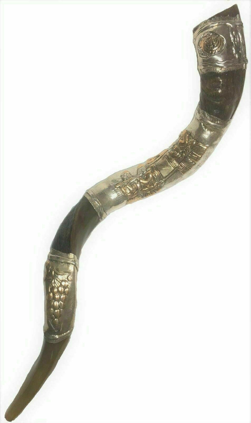 shofar kudu amazing silver - plated 34"-36" yemenite horn ark of the covenant