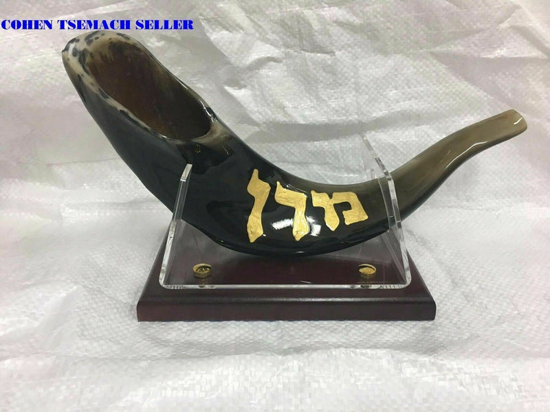 shofar 15"-17" ram horn shofar hand painted very special rabbi ovadia+stand new