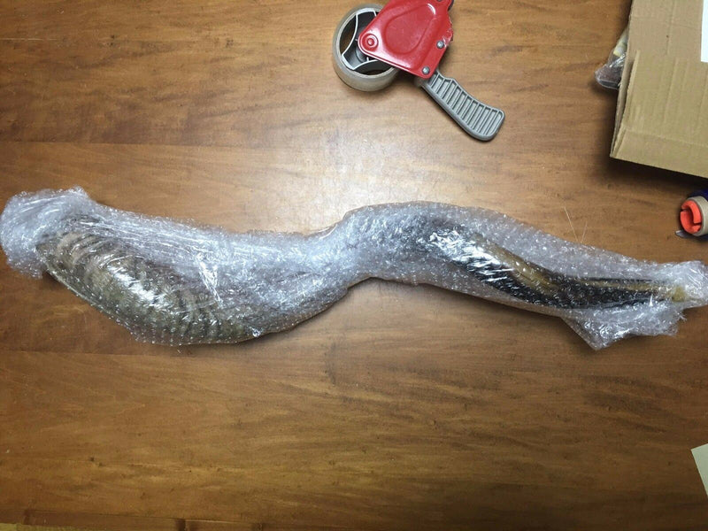 Christian messianic Plated Sterling Silver 24" Shofar Lion of Judah