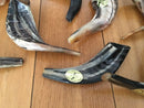12" NEW - 1 Kosher Authentic Ram Kosher Horn Shofar Polished shipped form Israel