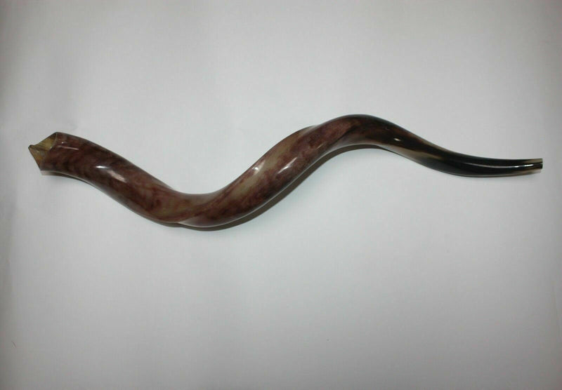 Kudu Yemenite HORN SHOFAR Casher complet Poli approx32 &quot;-34&quot;...