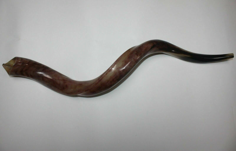 Kudu Yemenite HORN SHOFAR Casher complet Poli approx32 &quot;-34&quot;...