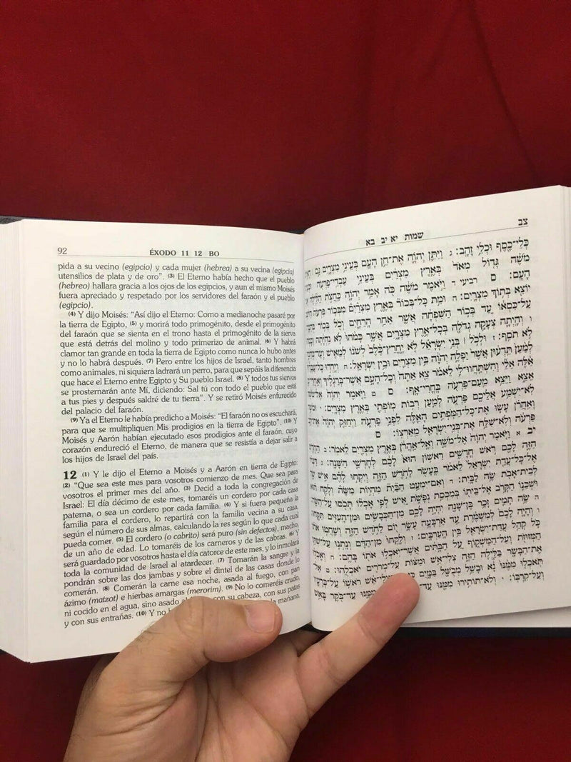 Hebräisch-englisches heiliges Bibelbuch Torah Testament Tanach für Schabbat...