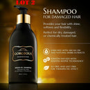 LOT 2 Moroccan Argan Oil Shampoo 8.5 Oz sls Free .Volumizing & Moisturizing