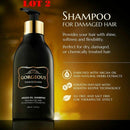LOT 2 Moroccan Argan Oil Shampoo 8.5 Oz sls Free .Volumizing & Moisturizing