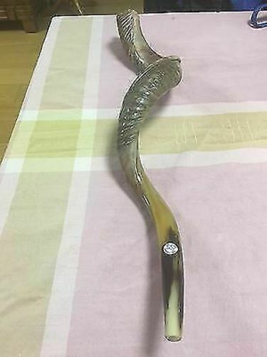 Kudu Yemenite Shofar Horn Kosher Half Polished Israel 35-36" from Israel