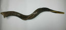 Amazing Kudu Yemenite SHOFAR Horn Kosher Full Natural From Israel 32 Judaica