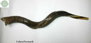 Amazing Kudu Yemenite SHOFAR Horn Kosher Full Natural From Israel 32 Judaica