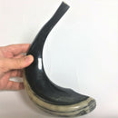 Ram SHOFAR Horn Kosher Natural 12"-14" Judaica
