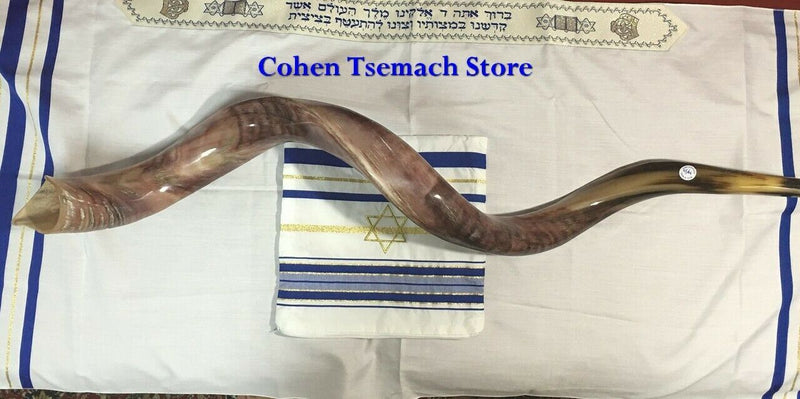 Kudu Yemenite HORN SHOFAR Kosher full Polished approx 45"-46" judaica israel