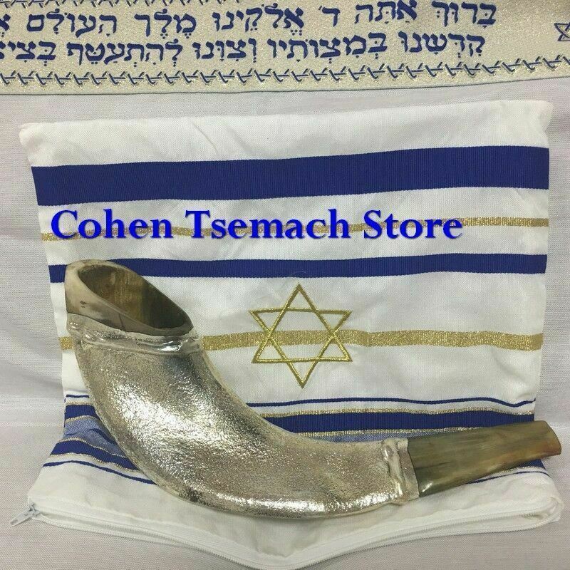 12 Tribes silver plated rams' horn shofar kosher from Holy land + Free Stand