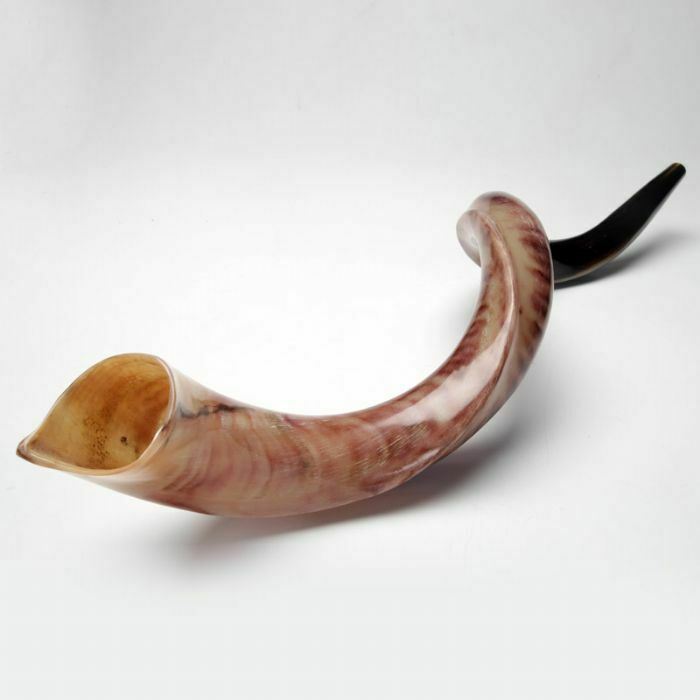 37" Kudu Yemenite HORN SHOFAR Kosher Polished