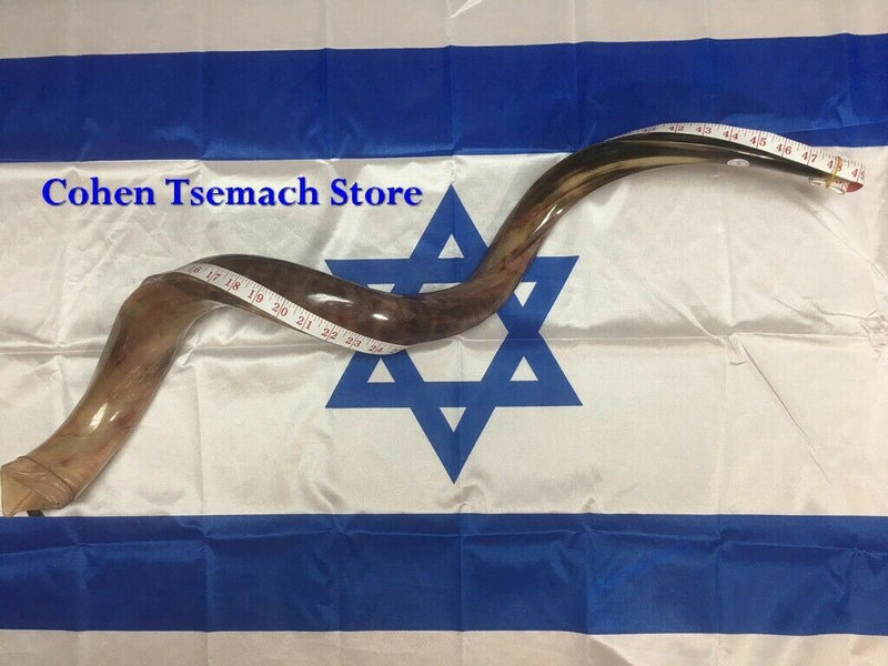 37" Kudu Yemenite HORN SHOFAR Kosher Polished