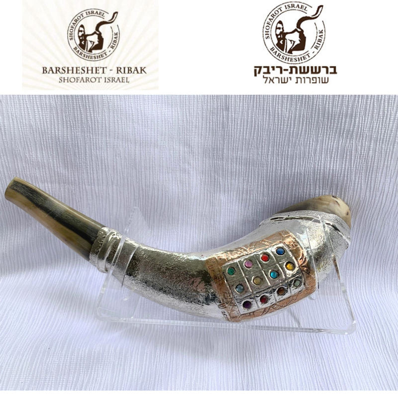 12 Tribes silver plated rams' ram horn shofar kosher 14"-15" + free stand