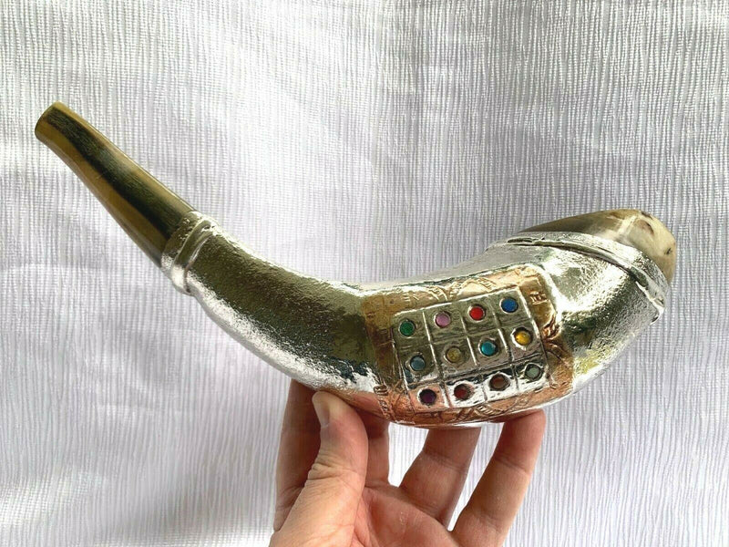 12 Tribes silver plated rams' ram horn shofar kosher 14"-15" + free stand